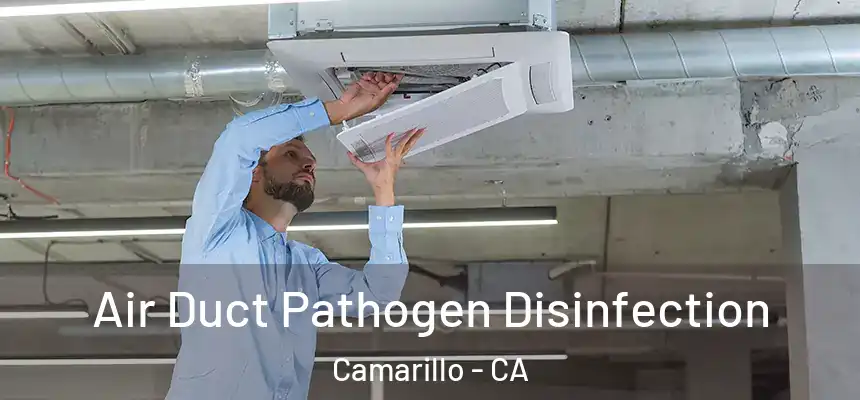 Air Duct Pathogen Disinfection Camarillo - CA
