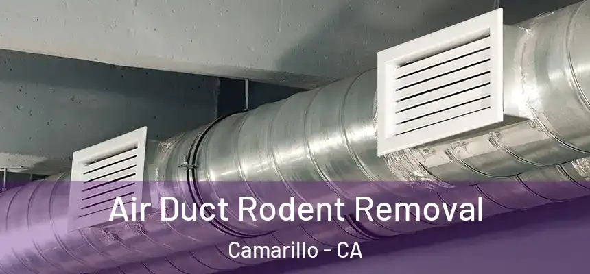 Air Duct Rodent Removal Camarillo - CA
