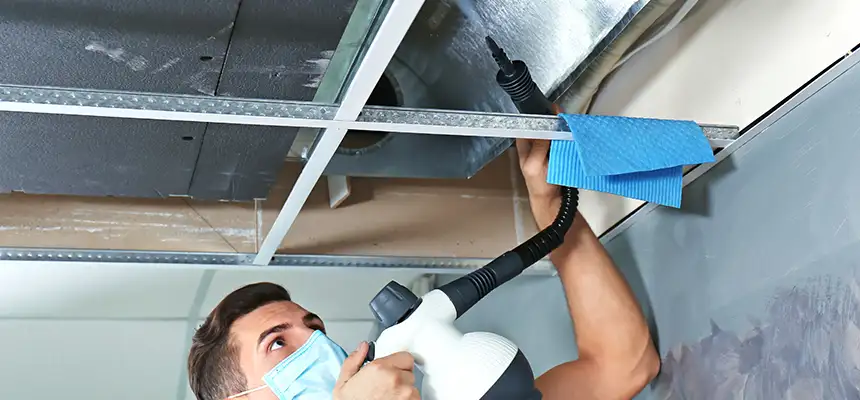 Our Air Duct Rodent Removal Services in Camarillo, CA