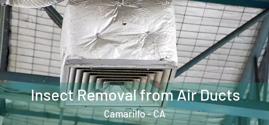 Insect Removal from Air Ducts Camarillo - CA