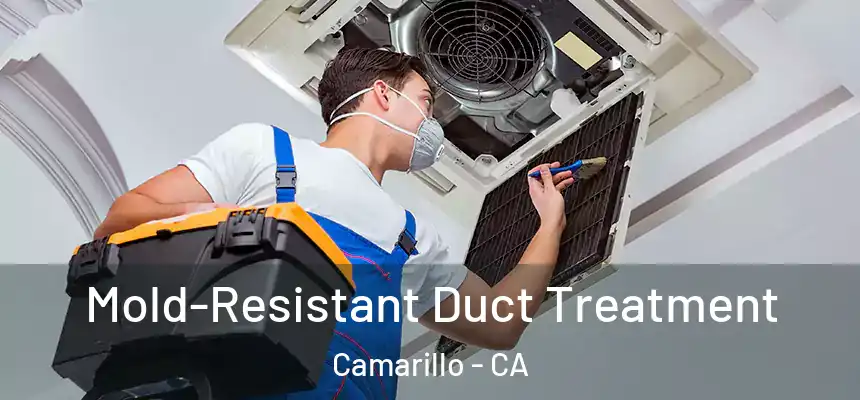 Mold-Resistant Duct Treatment Camarillo - CA
