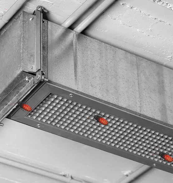 About Air Duct Cockroach Removal in Camarillo, CA