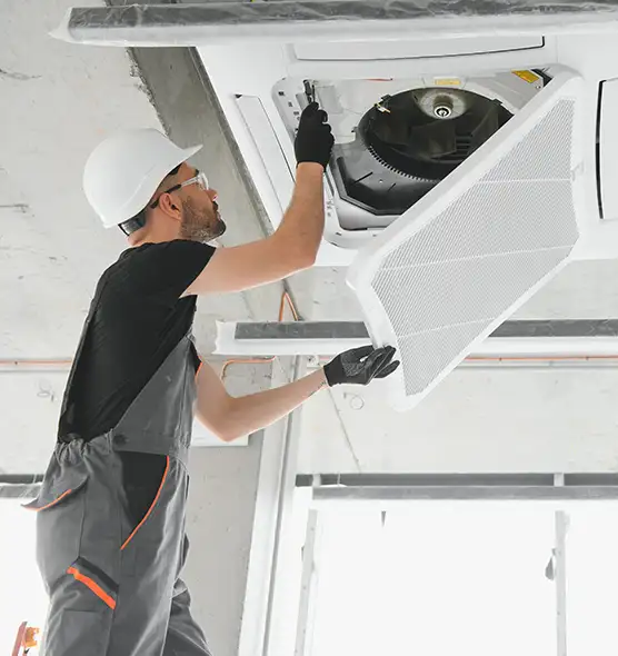 About Air Duct Rodent Removal in Camarillo, CA