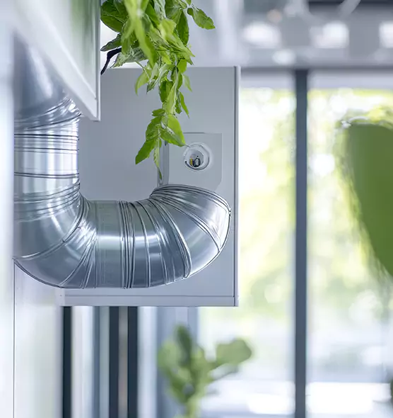 Professional Eco-Friendly Duct Cleaning Services in Camarillo, CA