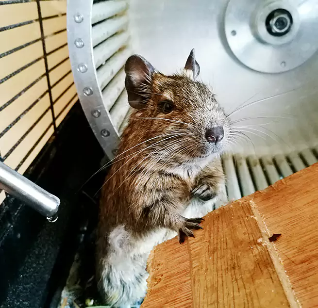 Why Homeowners & Businesses Trust Us Camarillo, CA?