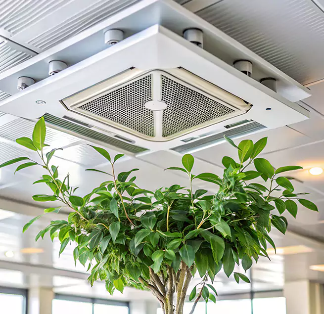 Why Homeowners & Businesses Trust Us in Camarillo, CA?