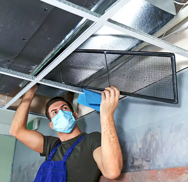 Why Homeowners Businesses Trust Us in Camarillo, CA